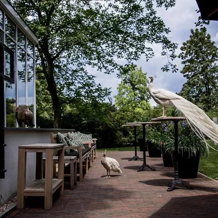 Hotel Kasteeltje Hattem Roermond