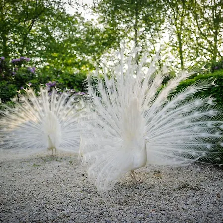 Hotel Kasteeltje Hattem 4*