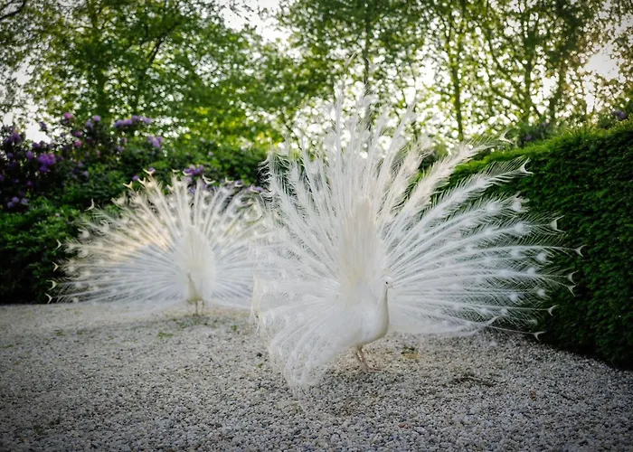 Hotel Kasteeltje Hattem 4*