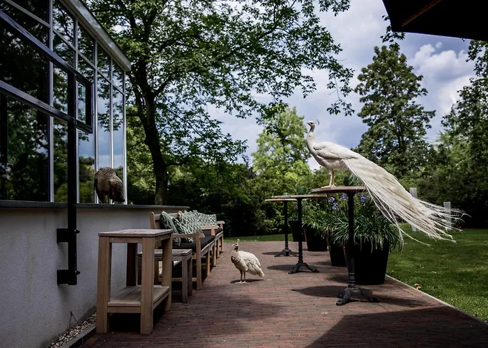 فندق Kasteeltje Hattem رورموند